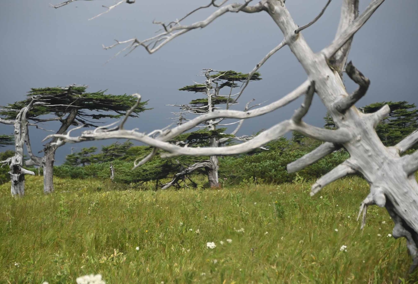 экспедиция на курилы VEL_1147