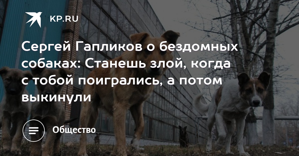 Образец Заявления На Отлов Бездомных Собак Образец Заявления На Отлов Бездомных Собак