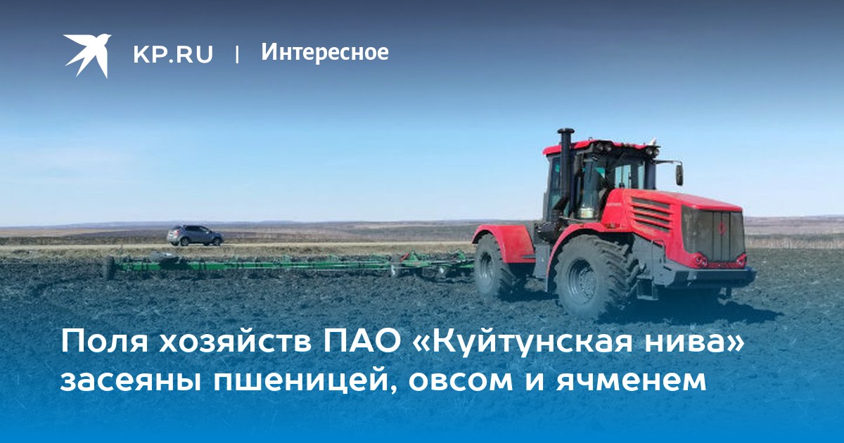 поля засеянные пшеницей занимали