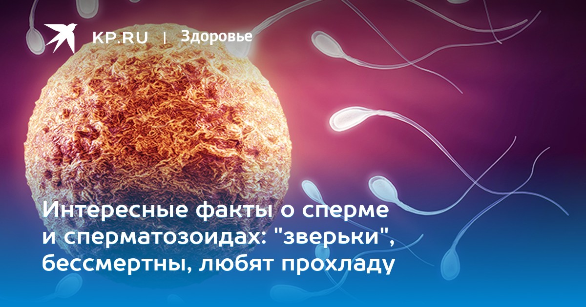 Русское пьяное порно