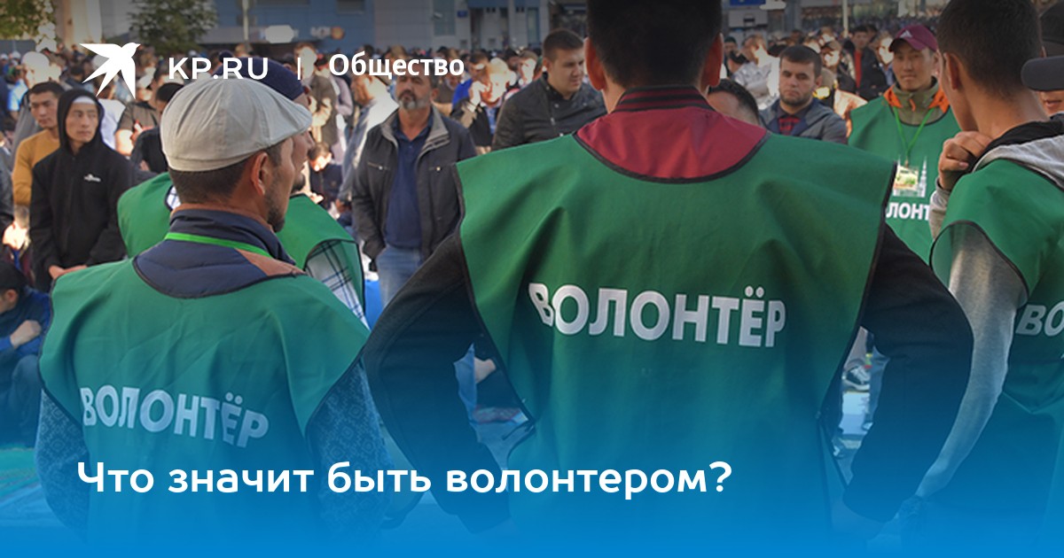 Эссе на тему почему я хочу стать волонтером 7281
