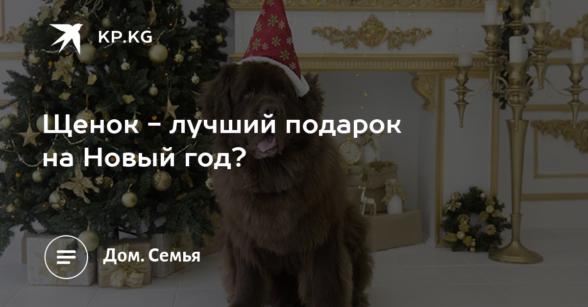 100 к 1. Какой лучший подарок на день рождения 43 100 к 1. Какой лучший подарок на день рождения 69