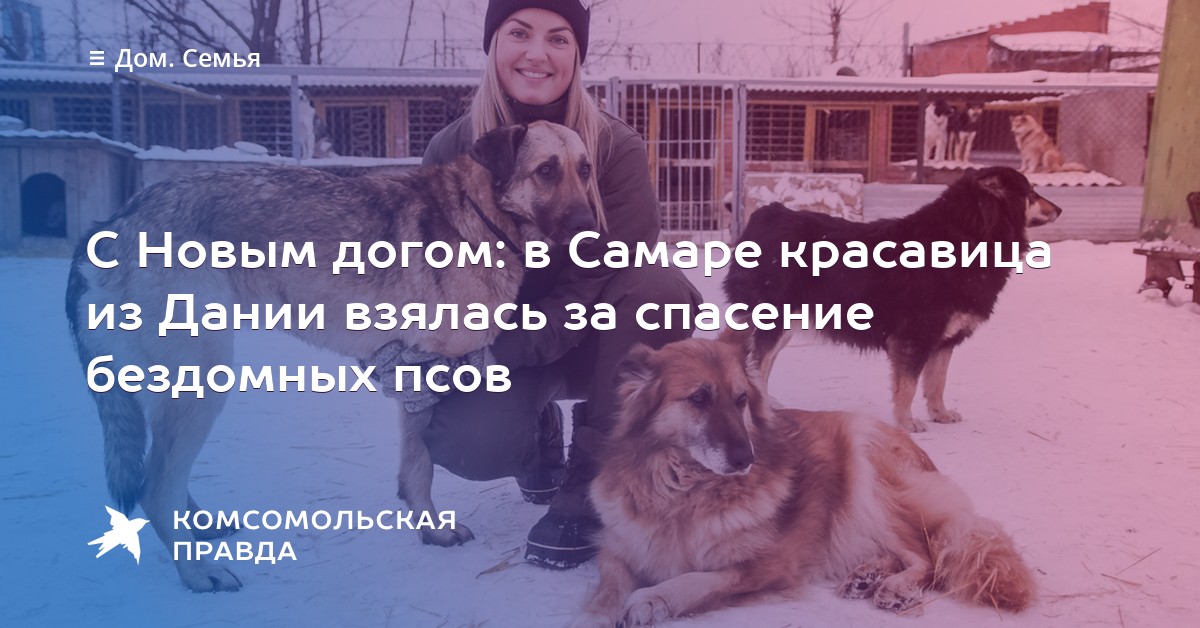 С Новым догом: в Самаре красавица из Дании взялась за спасение бездомных псов