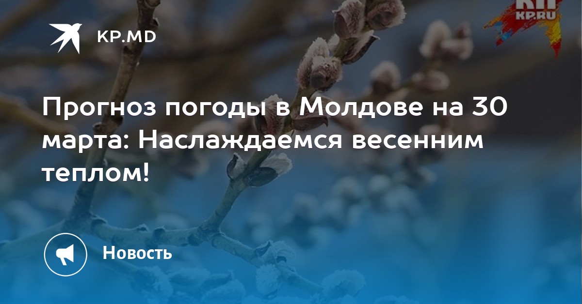 прогноз на спорт 100