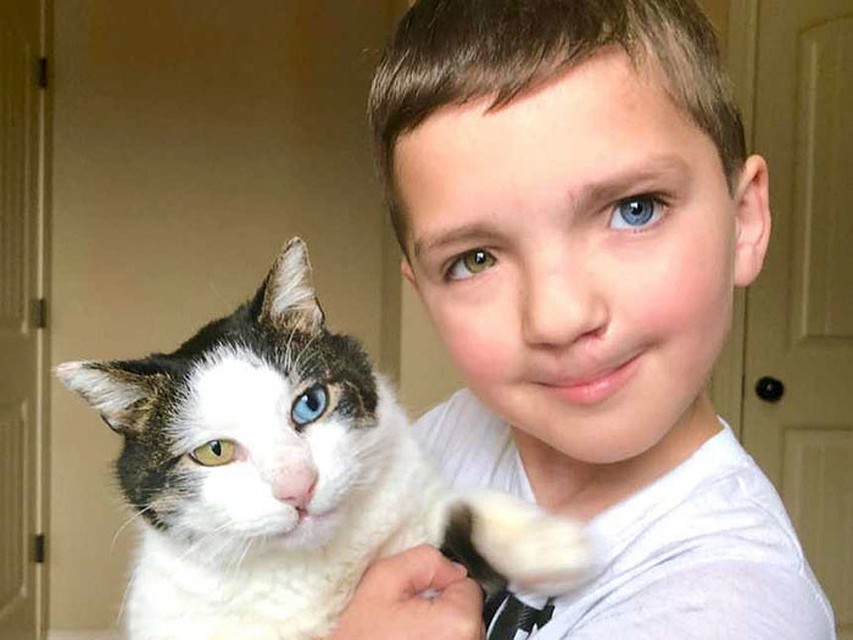 Мальчик с заячьей губой и разноцветными глазами нашел своего котенка-близнеца Мальчик с заячьей губой и разноцветными глазами нашел своего котенка-близнеца
