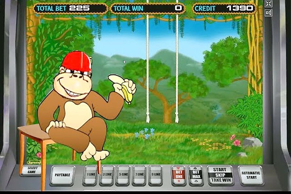 казино вулкан crazy monkey казино вулкан crazy monkey