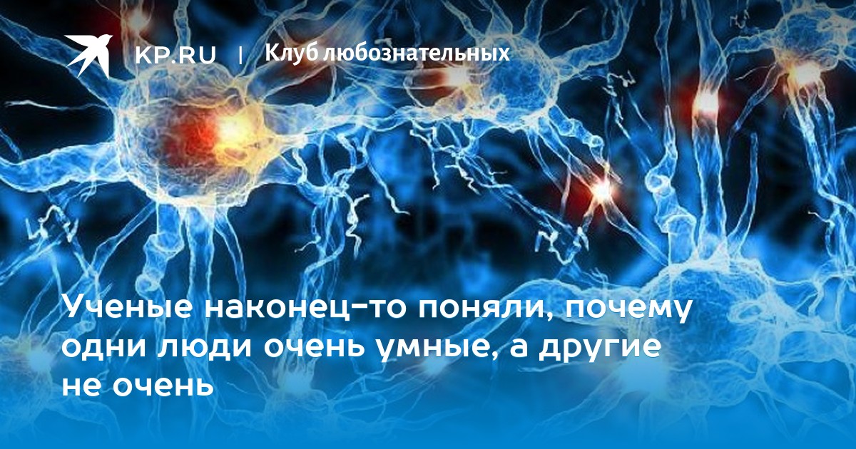 Iq тест одобренный клубом Iq тест одобренный клубом