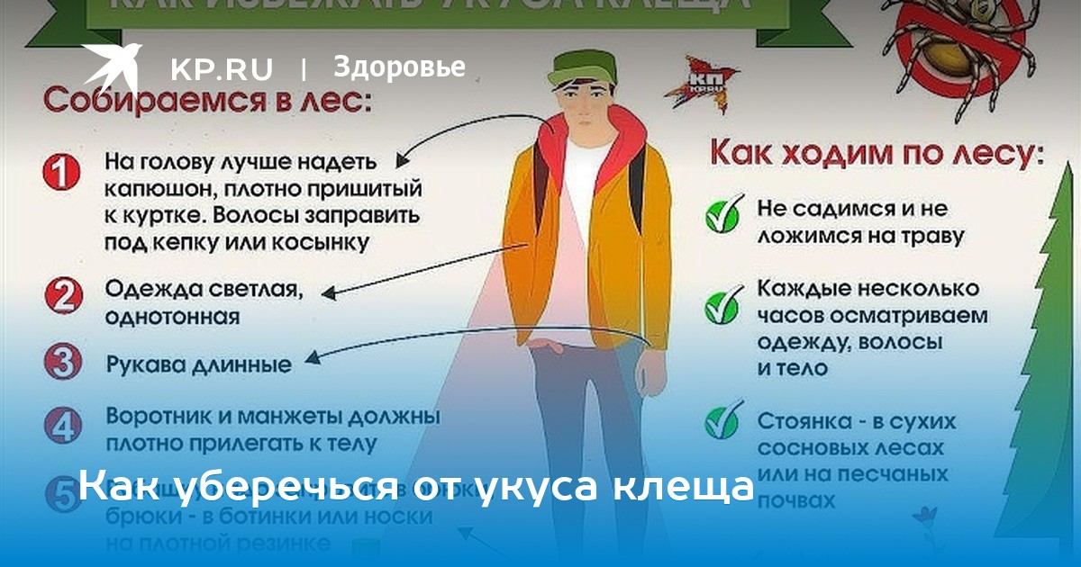 КАК УБЕРЕЧЬСЯ ОТ КЛЕЩЕВОГО ЭНЦЕФАЛИТА его необходимо вынуть, нельзя КАК УБЕРЕЧЬСЯ ОТ КЛЕЩЕВОГО ЭНЦЕФАЛИТА его необходимо вынуть, нельзя