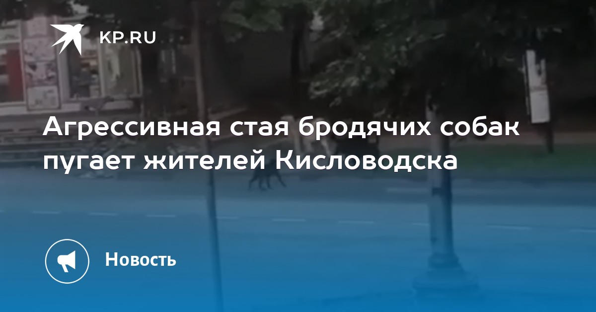 примерное меню правильного питания мужчины примерное меню правильного питания мужчины