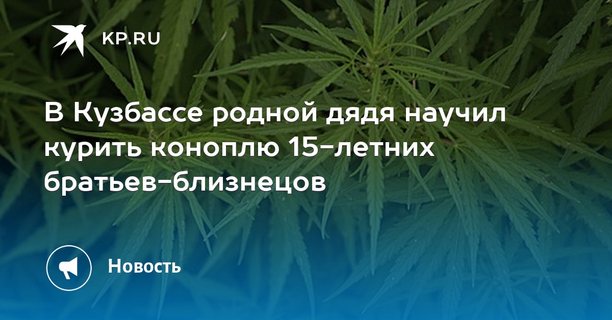 конопля семена голландия