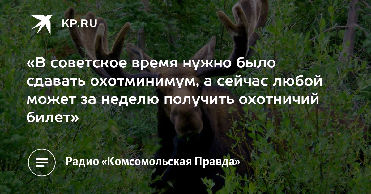 ОХОТМИНИМУМ 2016 БИЛЕТЫ И ОТВЕТЫ СКАЧАТЬ БЕСПЛАТНО ОХОТМИНИМУМ 2016 БИЛЕТЫ И ОТВЕТЫ СКАЧАТЬ БЕСПЛАТНО