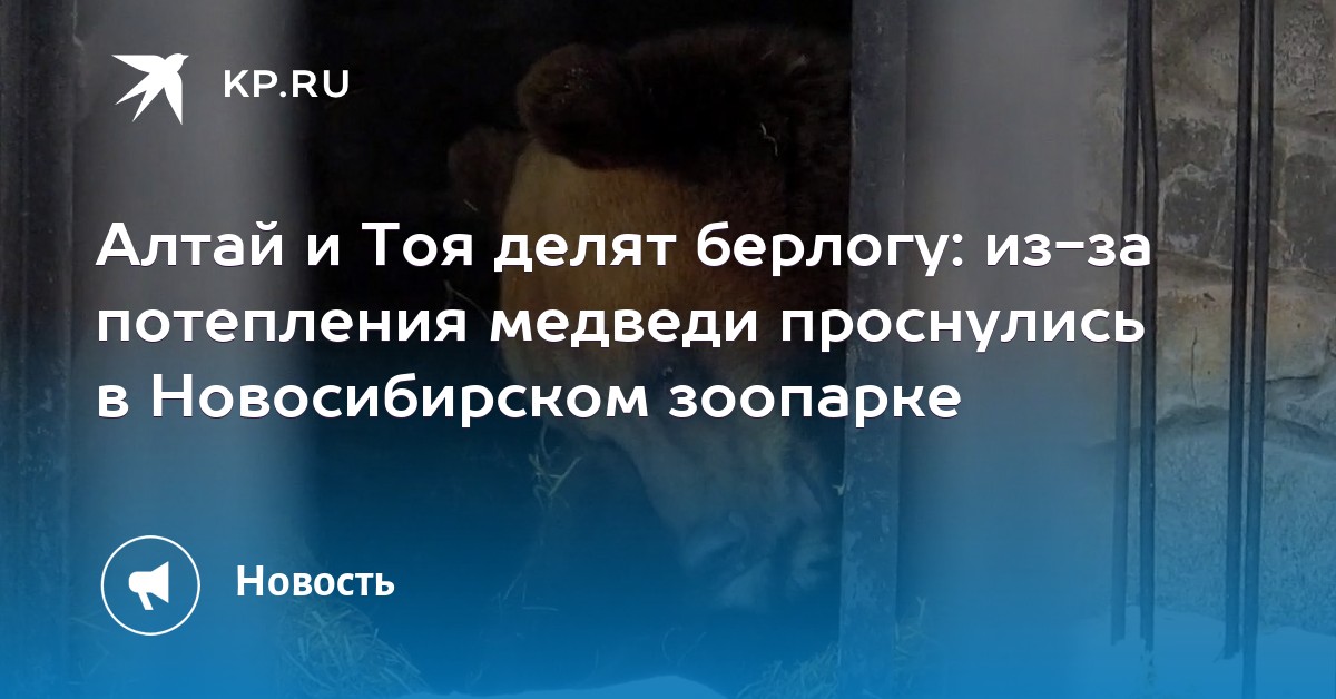 Полнотелыми проснулись и занялись оргазмами качестве