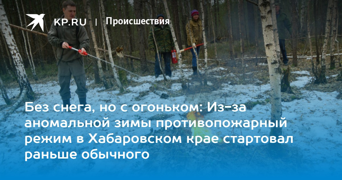 В Хабаровском крае ввели противопожарный режим из-за малоснежной зимы В Хабаровском крае ввели противопожарный режим из-за малоснежной зимы