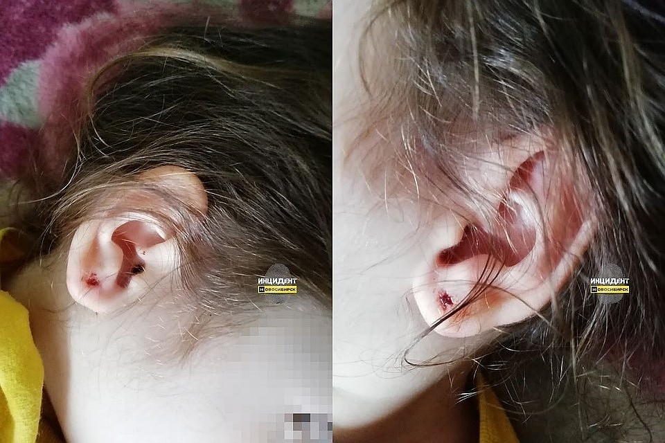 ошибаетесь. Пишите порно фоток киски крупным планом хорошая идея