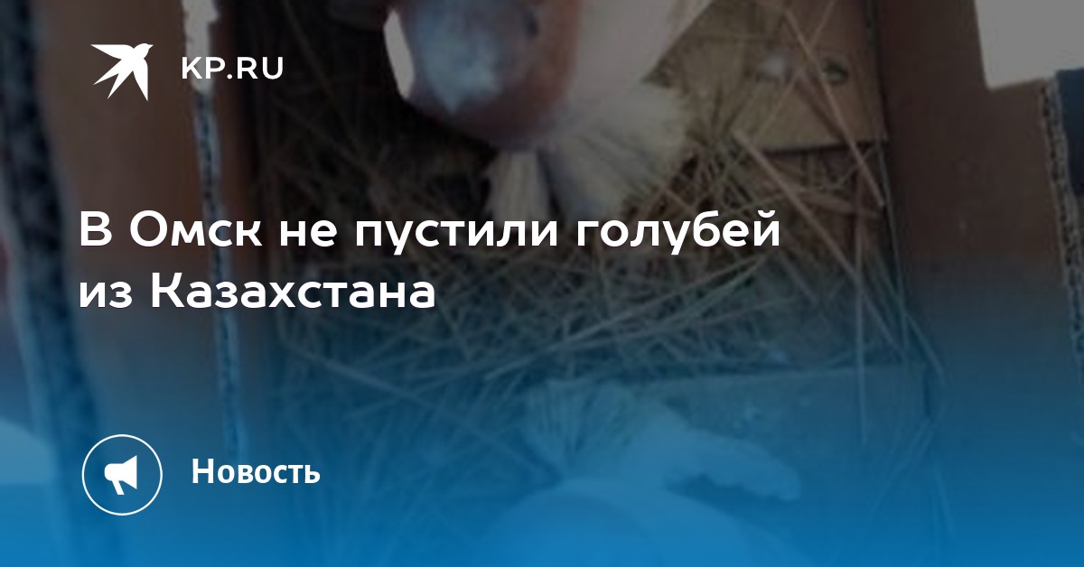 бик сбербанка казахстана павлодар детское евровидение кто занял первое место