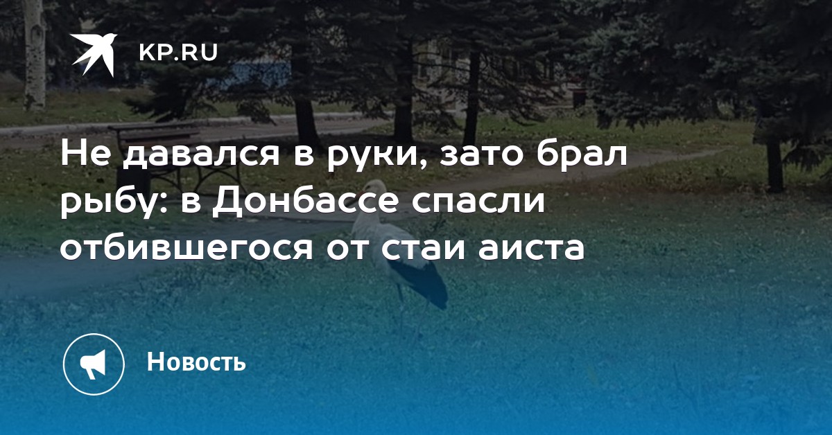 аист магазин детских товаров нижний новгород официальный сайт аист магазин детских товаров нижний новгород официальный сайт