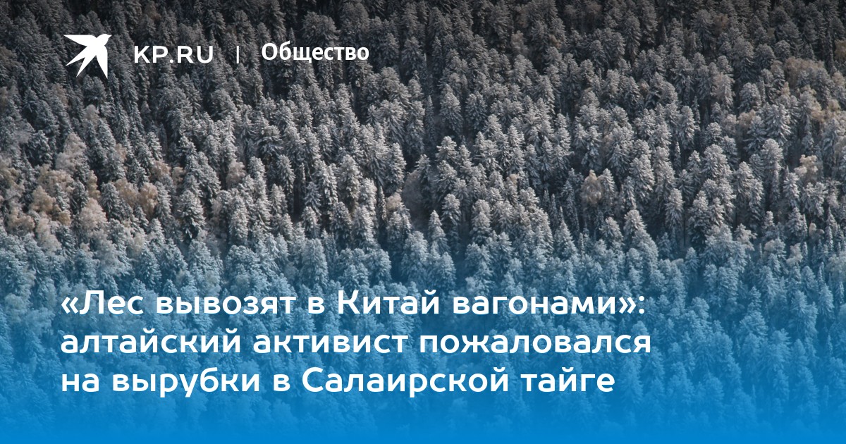 нужно вывезти из леса 35