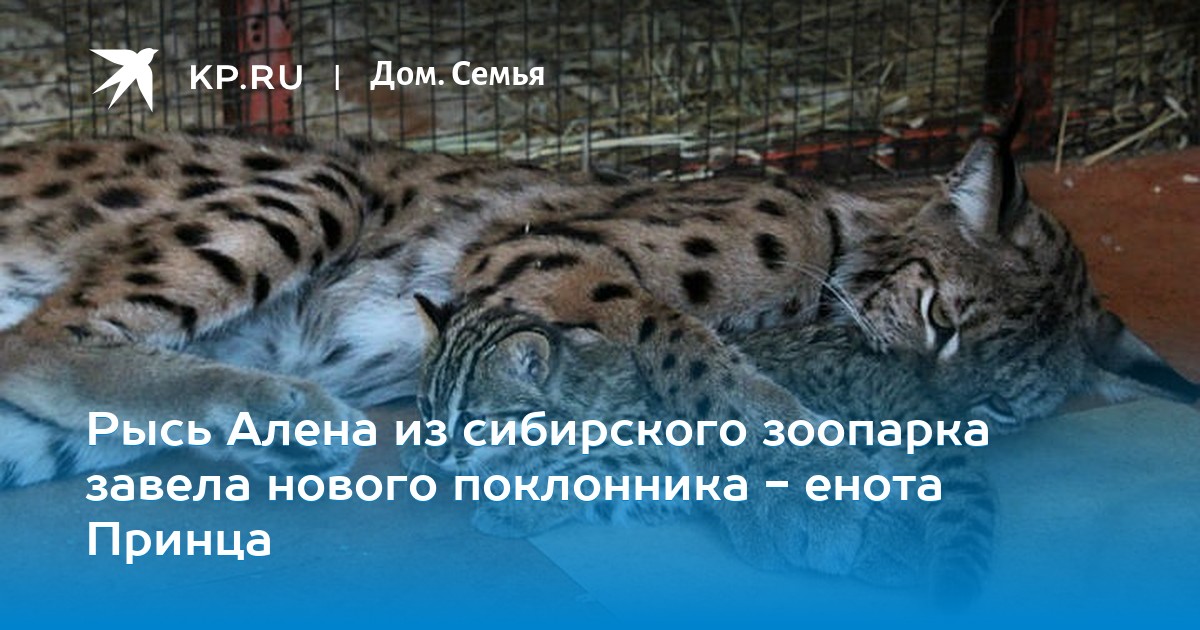 Уникальное явление