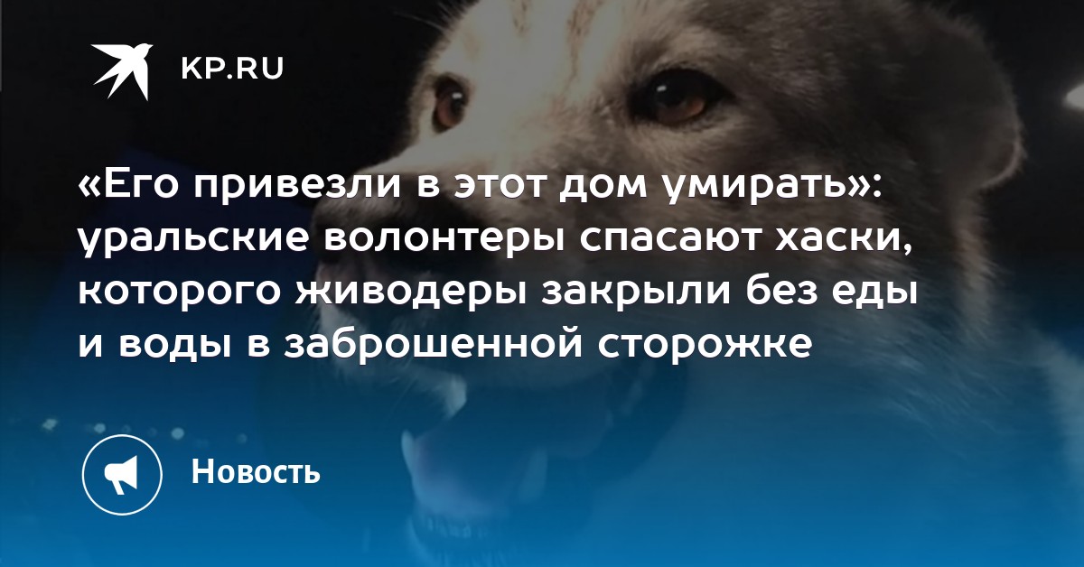 привезли в заброшенный дом чтобы ее порно