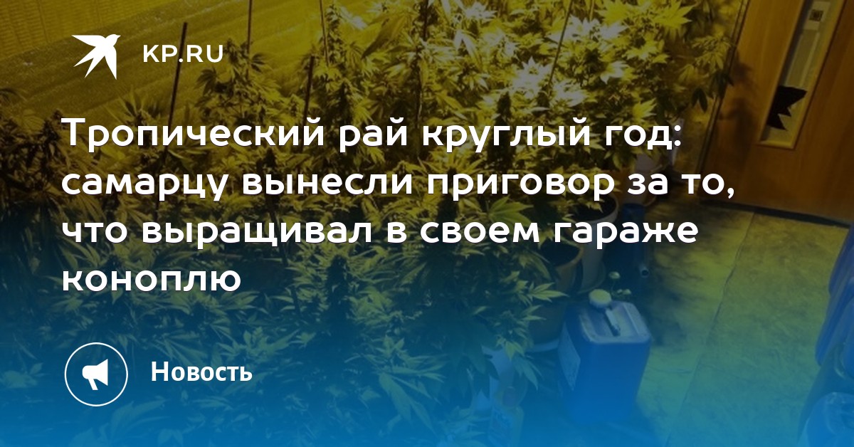 В гараже выращивал марихуану В гараже выращивал марихуану hydra мышка драйвера ja gh27