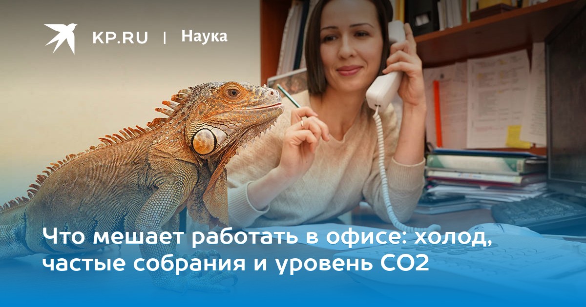 Что мешает работать в офисе: холод, частые собрания и уровень СО2