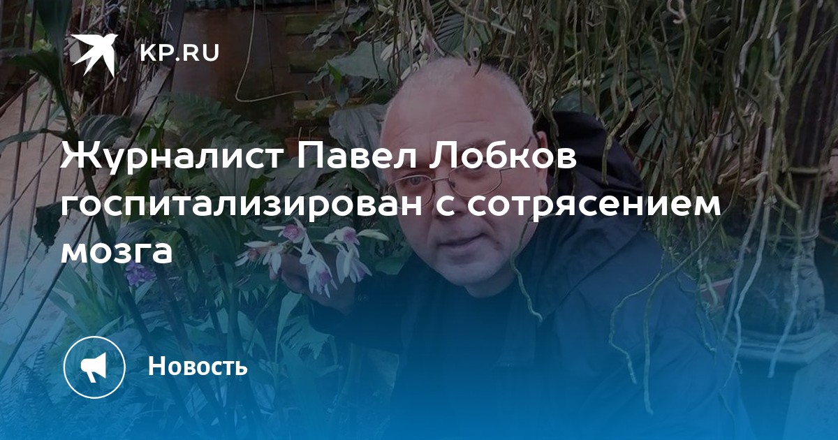 Журналист Павел Лобков госпитализирован с сотрясением мозга