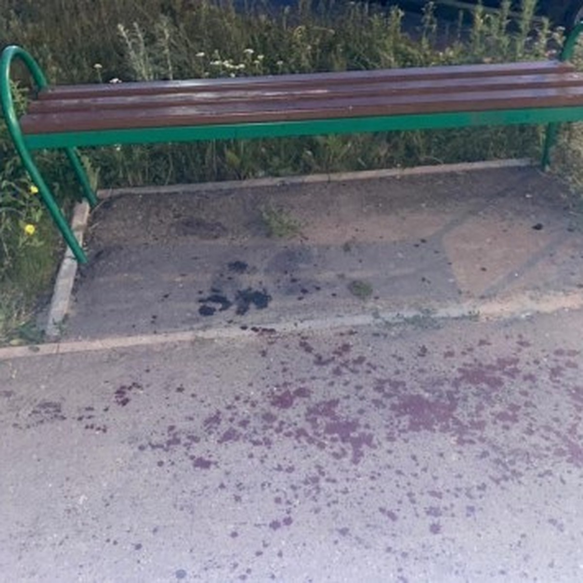 Пассажирки Замерли В Ожидании Фонтана Спермы