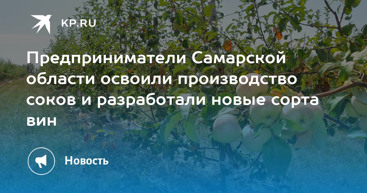 Предприниматели Самарской области освоили производство соков и разработали новые сорта вин - Vimarsana News