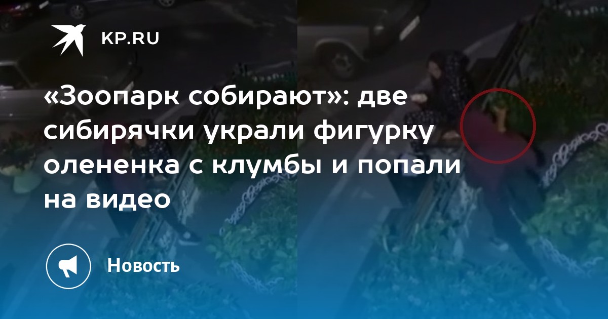 игра зоопарк i на деньги игра зоопарк i на деньги