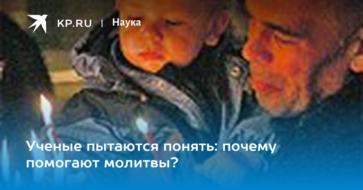 Ученые пытаются понять странное поведение морских животных Ученые пытаются понять странное поведение морских животных