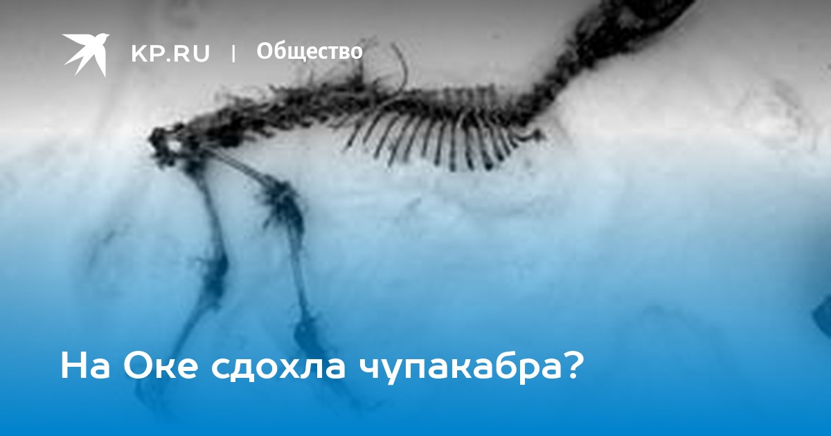 На Оке сдохла чупакабра?