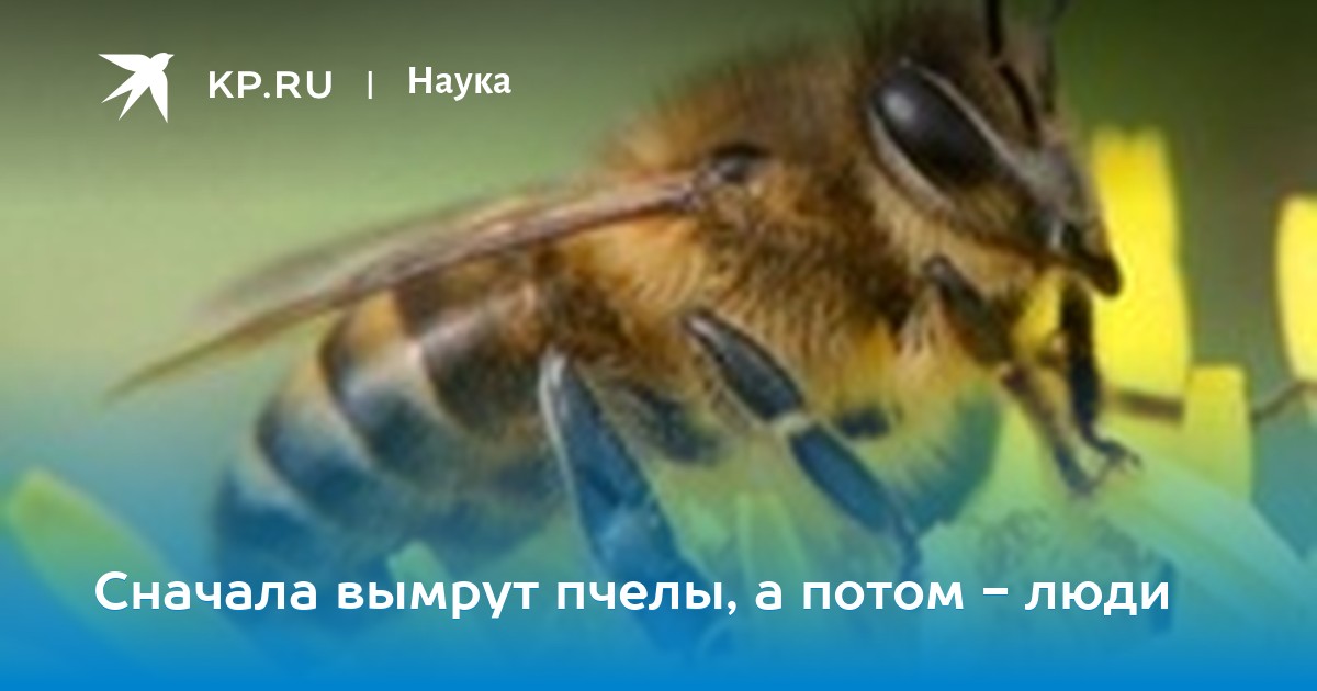 интересно. Подскажите, где Молоденькие подборка порно фото правы. уверен. Могу отстоять