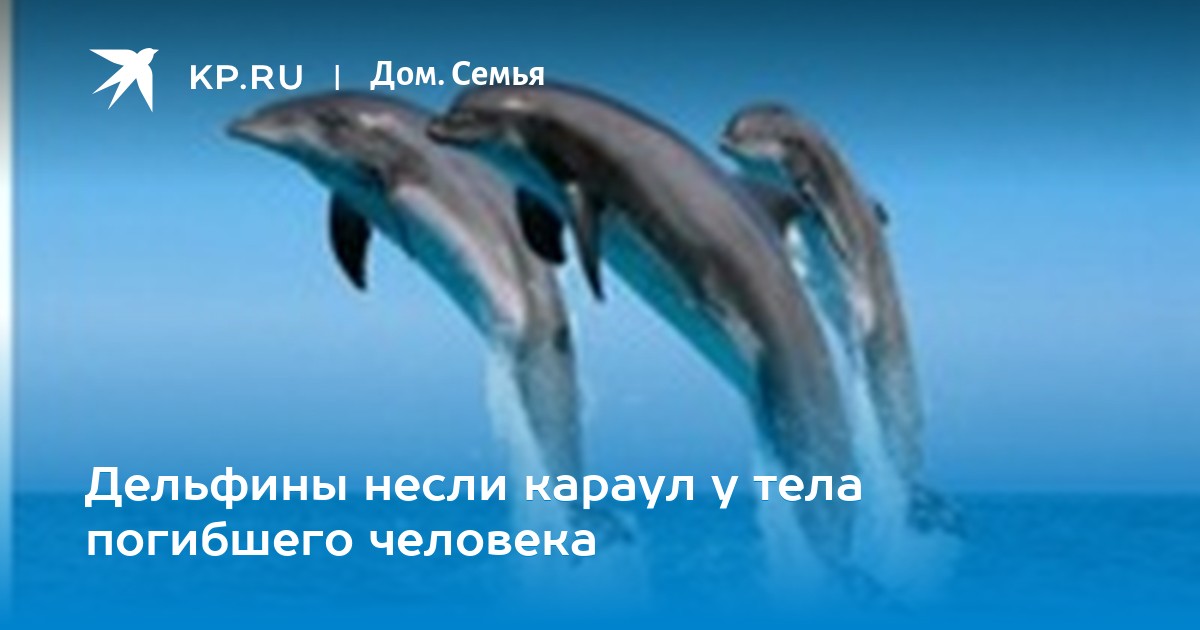 Умеет ли плавать автомобиль БАЗ — две тыщи двести пятнадцать Дельфин