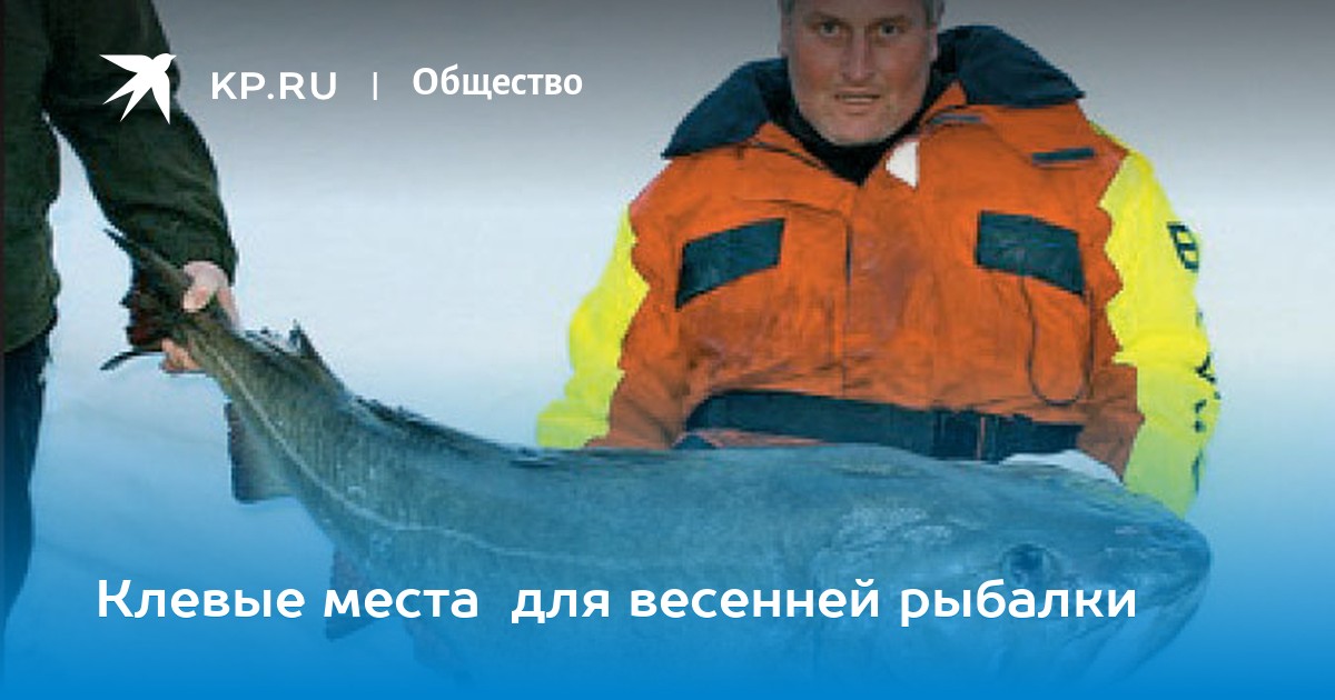Госинспекция предупреждала Тогда зайчатники рассказали, что Госинспекция предупреждала Тогда зайчатники рассказали, что