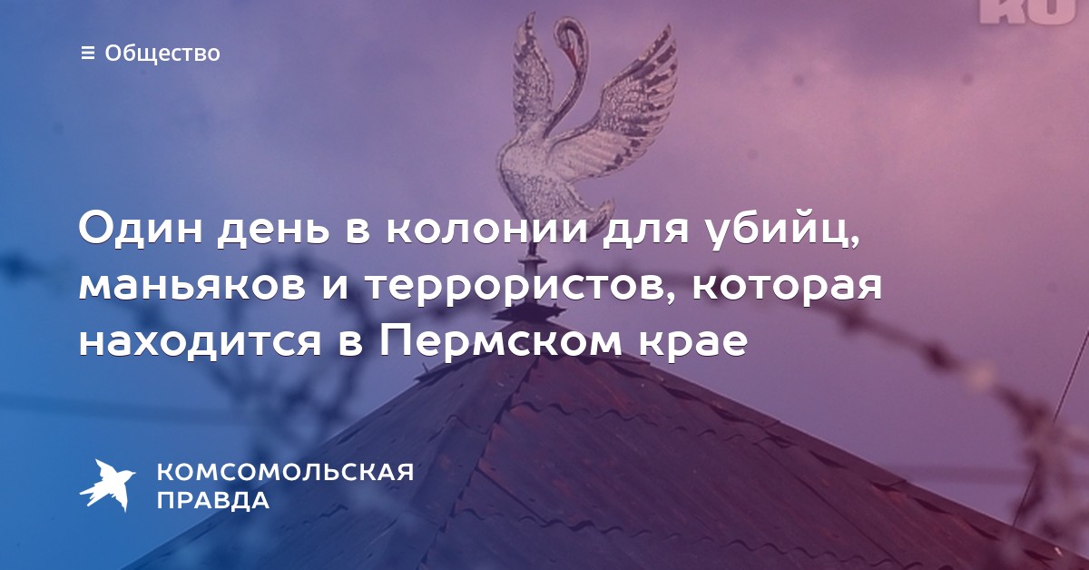 Рисуем По Клеточкам Бурдина Скачать