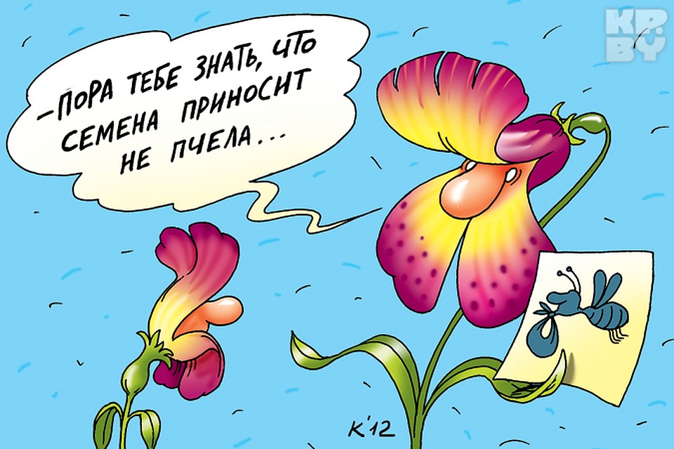 devushku-krasivoy-zanyatie-seksom-u-molodezhi