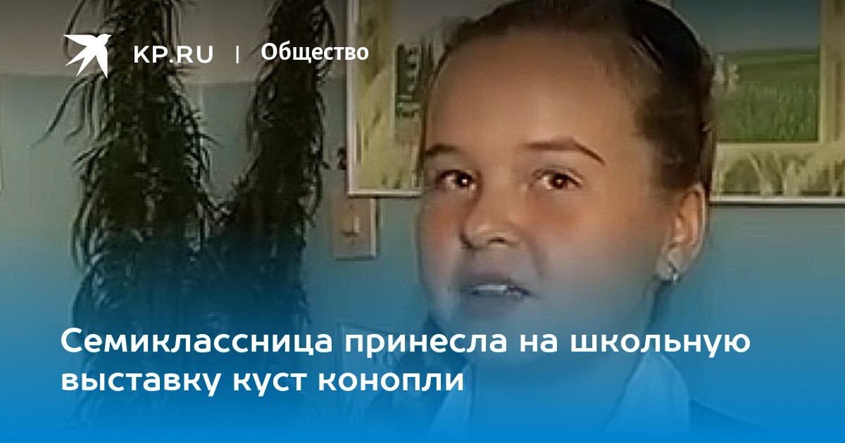 что делать если поймают с коноплей