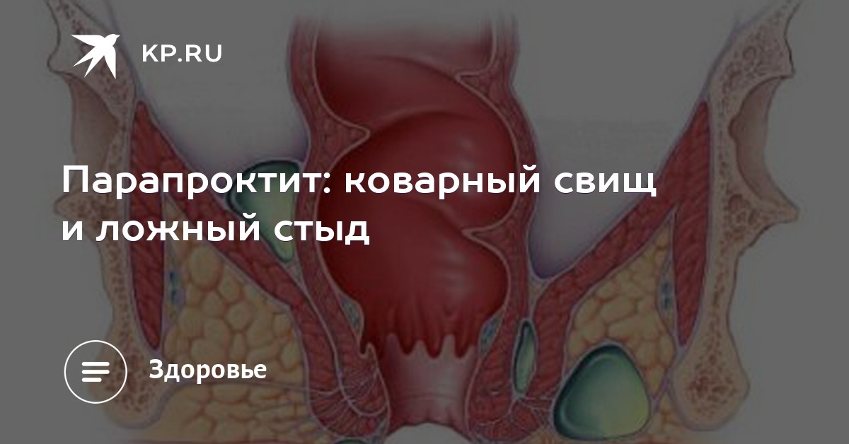 Член в анальном отверстии фото крупным планом — pic 14