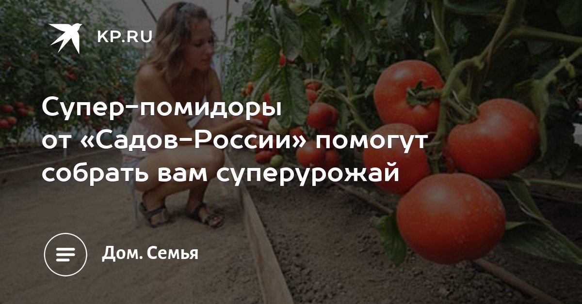 HTML -цвета, их коды, описание и названия на русском и 27 HTML -цвета, их коды, описание и названия на русском и 64