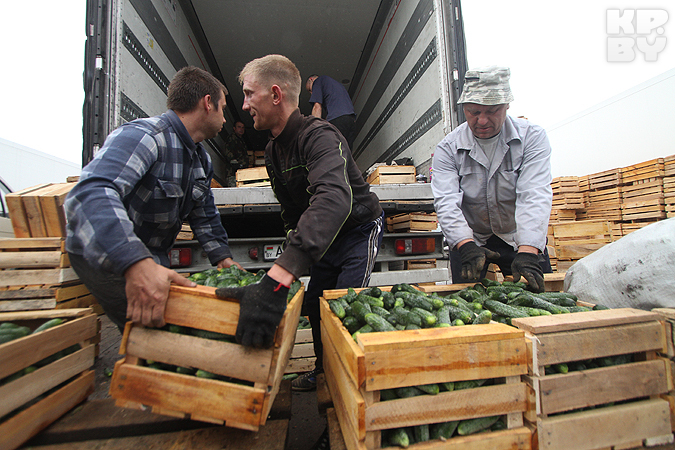 город огурцов в беларуси. Смотреть фото город огурцов в беларуси. Смотреть картинку город огурцов в беларуси. Картинка про город огурцов в беларуси. Фото город огурцов в беларуси город огурцов в беларуси. Смотреть фото город огурцов в беларуси. Смотреть картинку город огурцов в беларуси. Картинка про город огурцов в беларуси. Фото город огурцов в беларуси