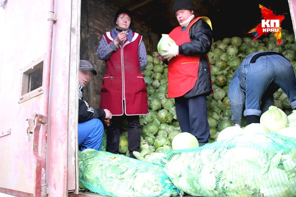 Жилкина овощебаза. Жилкина овощебаза. Жилкина овощебаза. Жилкина овощебаза. Жилкина овощебаза.