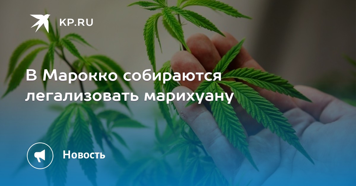 Марихуану купить уфа продам семена конопли в украине