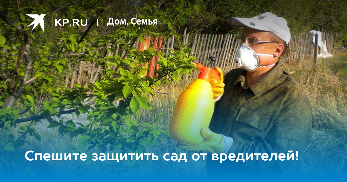 Им защита сада. Топаз+биотлин 10мл+9мл август х111/50. Двойная защита сада август. Опрыскивание деревьев. Игра защита от насекомых.