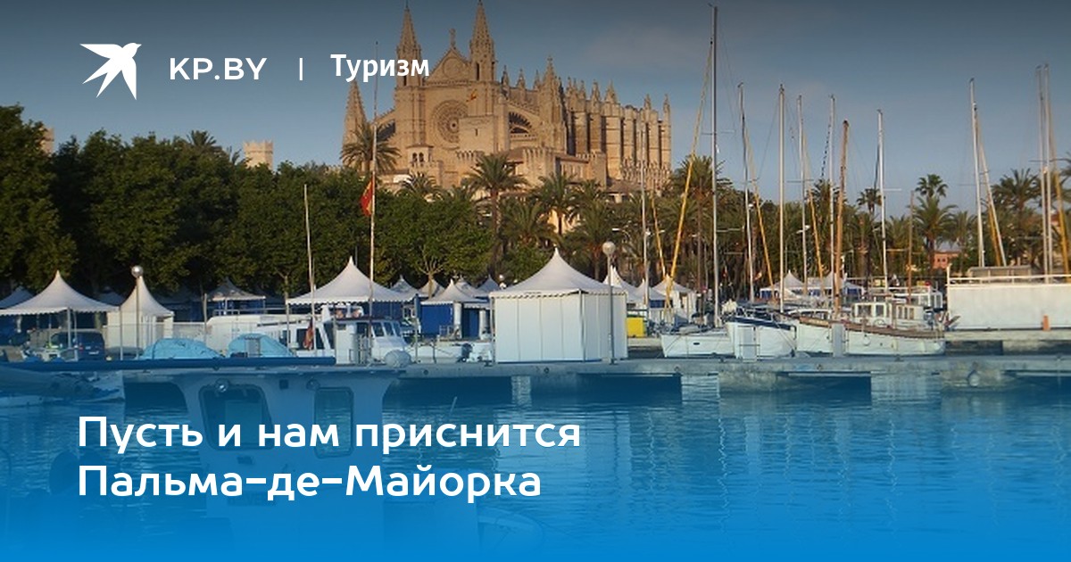 Картинки, картинки пусть тебе приснится пальма-де-майорка