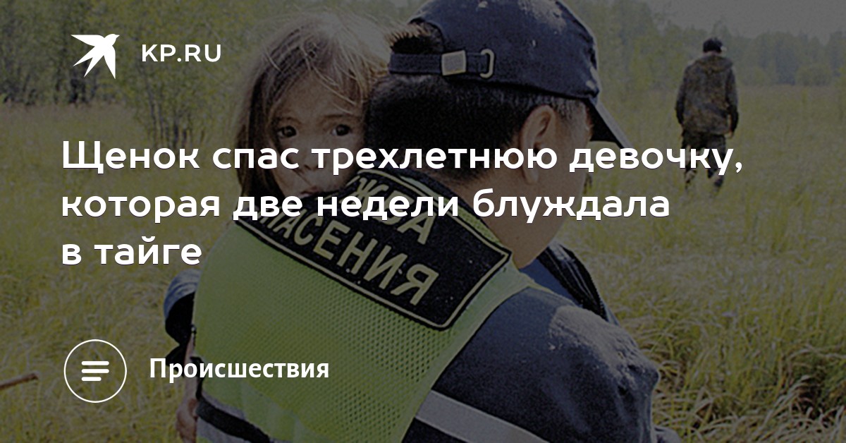История карины чикитовой