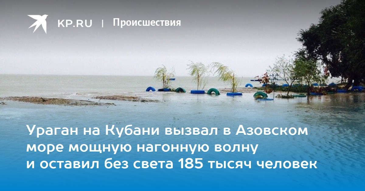 приказ министра мвд.185 Приказ 185 for android apk download.
