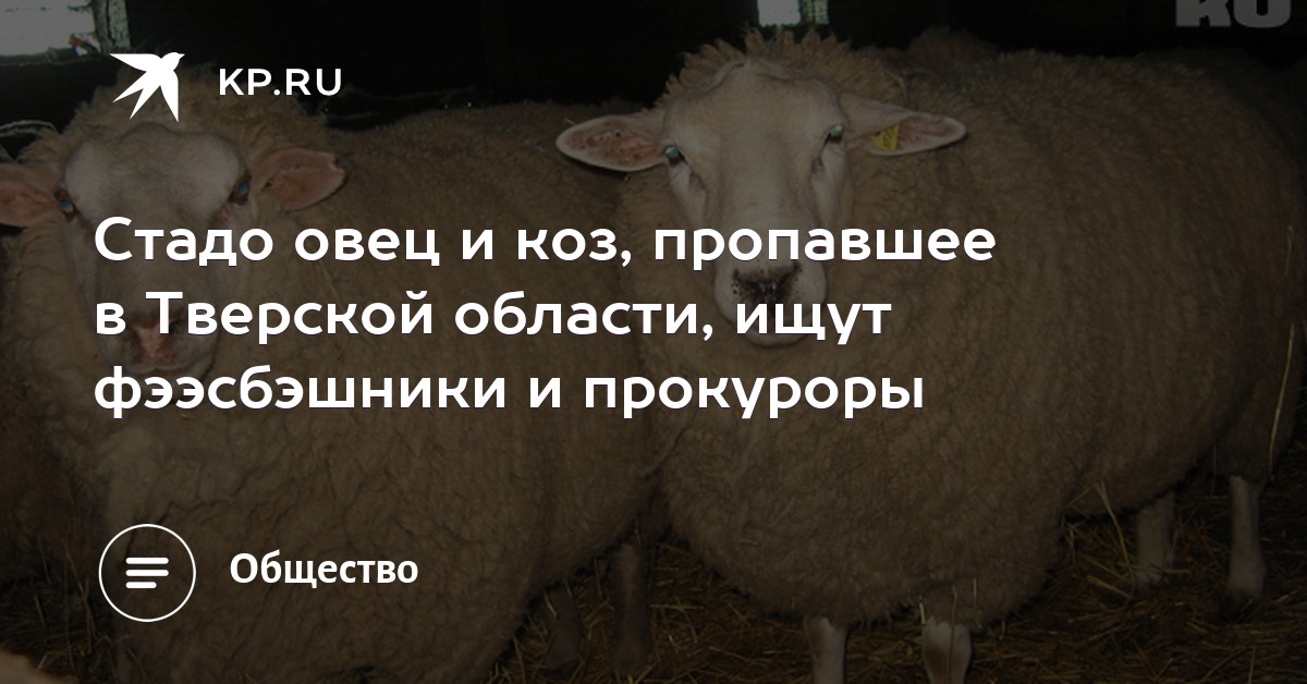 Слабый президент: украинские СМИ о победе Зеленского Слабый президент: украинские СМИ о победе Зеленского