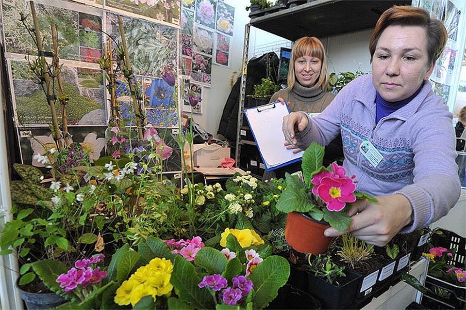 выставка дача сад ландшафт 2024. джон вайдман ландшафтный дизайнер. выставка дача сад ландшафт 2024. ландшафтная выставка. выставка дача сад ландшафт 2022 на вднх.