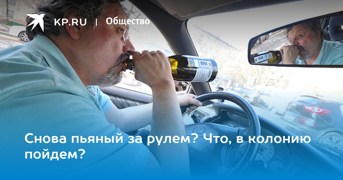 10 Примеров адаптаций животных к неблагоприятной окружающей среде в 2019 году 10 Примеров адаптаций животных к неблагоприятной окружающей среде в 2019 году