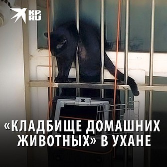 смотреть лесби русское бесплатное видео